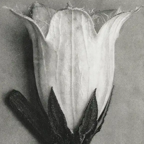 サービスのイメージ