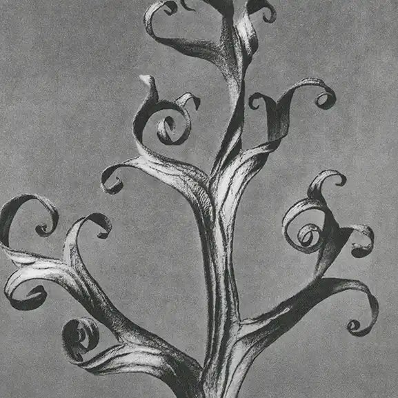 サービスのイメージ