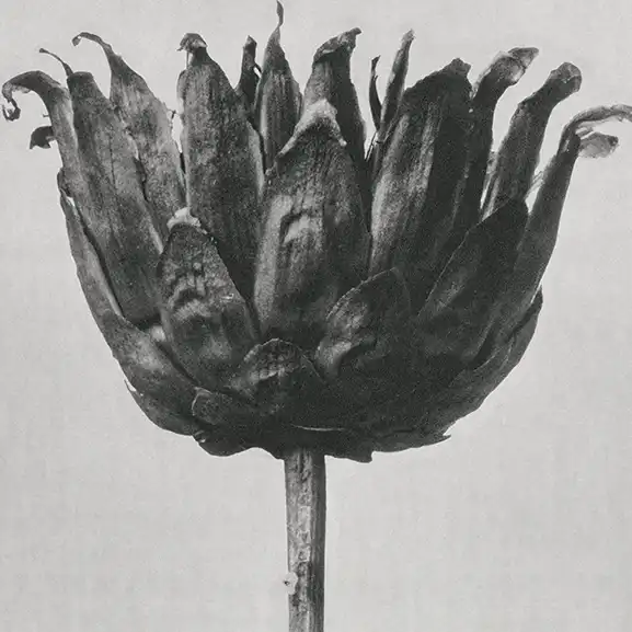 サービスのイメージ